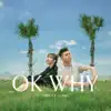 FREE A - Ok Why (feat. Lo 5ibe) - Single